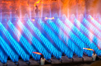 Kippington gas fired boilers